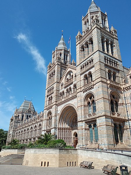 Image: Natural History Museum 5
