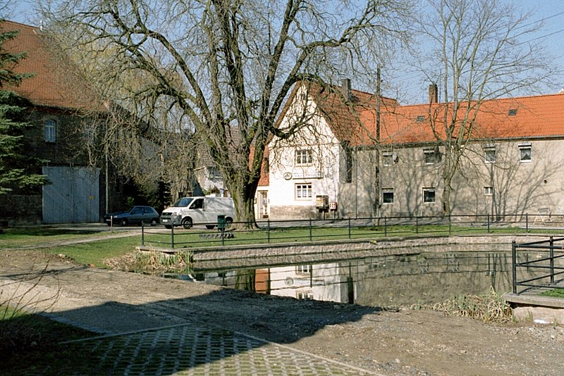 File:Nemsdorf-Göhrendorf, the village pond in Göhrendorf.jpg