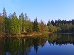 Neuer Teich (Gernrode)