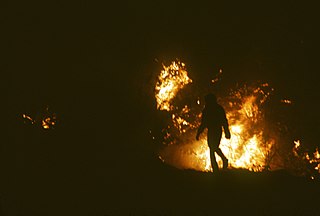 <span class="mw-page-title-main">Panorama Fire</span> 1980 wildfire in Southern California