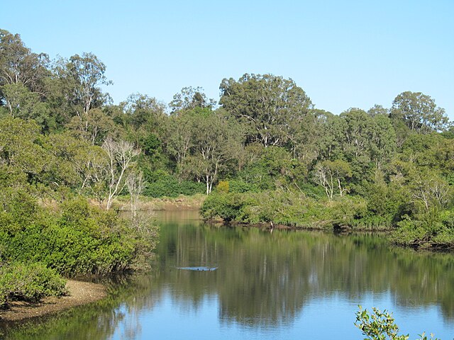 The river at Petrie, 2016