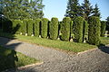 Čeština: Náhrobky na hřbitově Domova svaté Anežky ve Velkém Újezdě, Kojatice, okr. Třebíč. English: Overview of graves in cemetery of Domov svaté anežky in Velký Újezd, Kojatice, Třebíč District.