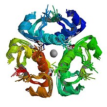 PBB Protein INS image.jpg