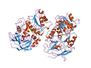 PDB 1teh EBI.jpg