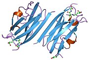 PDB 2brq EBI.jpg