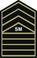 Senior master sergeant insignia Philippine Army