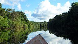 Oxbow a Río Marañontól délre