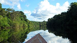 Pacaya Samiria Marañon-rivier (66217327) .jpeg