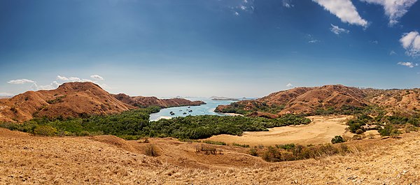 Panorama of Rinca