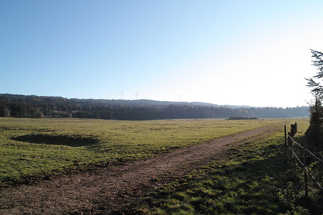 Pasture near Les Breuleux