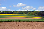 Paysages-de-la-vallée-de-l'Authie-vers-Doullens-DSC 0350.jpg