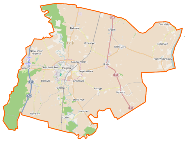 Mapa konturowa gminy Pelplin, blisko centrum na lewo znajduje się punkt z opisem „Pelplin”