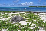 Vignette pour Réserve naturelle nationale des îles de la Petite-Terre