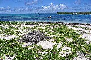 <span class="mw-page-title-main">Petite Terre Islands National Nature Reserve</span>