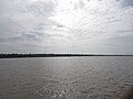 Photos taken from a boat ride along the Kavvayi backwaters, Payyannur, Kannur (179).jpg