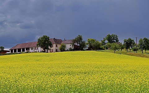 Hörzinghof in Hinterhütten, Gemeinde Pierbach, kurz vor einem Gewitter