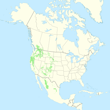 File:Pinus ponderosa range map.svg