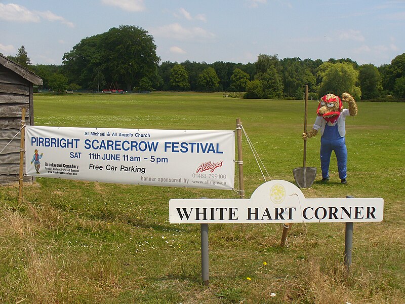 File:Pirbright Scarecrow Festival - geograph.org.uk - 2441467.jpg