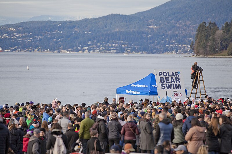 File:Polar Bear Swim 2019 (45838383344).jpg