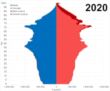 Population pyramid of Japan from 2020 to 2100.gif