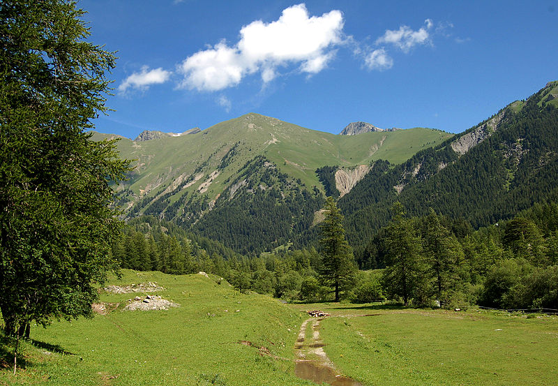 File:Prairie et forêt.jpg