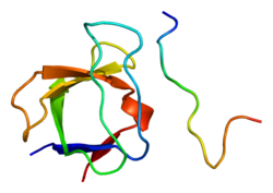 Protéine FYN PDB 1a0n.png