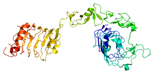 Protein IGF1R PDB 1igr