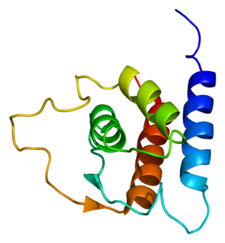 <span class="mw-page-title-main">Interleukin 13</span> Protein and coding gene in humans