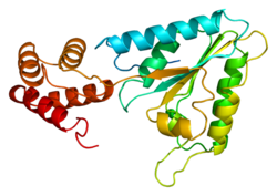 Ақуыз NSF PDB 1d2n.png