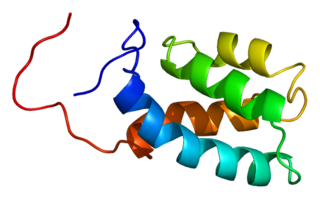 <span class="mw-page-title-main">PRPF3</span> Protein-coding gene in the species Homo sapiens