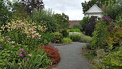 Rogerson Clematis Garden