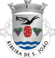 Vlag van Ribeira de São João