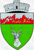 Wappen von Mehadica