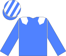 Racing silks of Hamdan Al Maktoum.svg