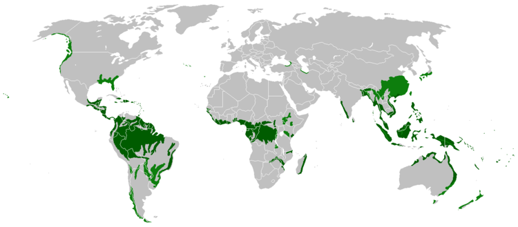 HKDSE Geography/M6/Tropical Rainforests - Wikibooks, open ...