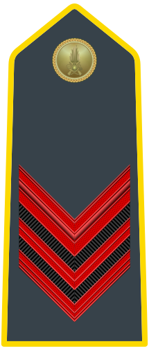 File:Rank insignia of appuntato of the Guardia di Finanza.svg