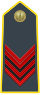 Rank insignia of appuntato of the Guardia di Finanza.svg