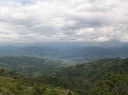 نمایی از ویلتا