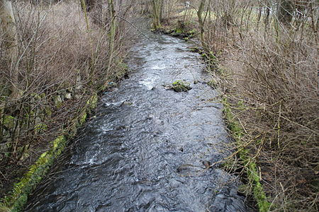 Riedbach (Reichenbach)