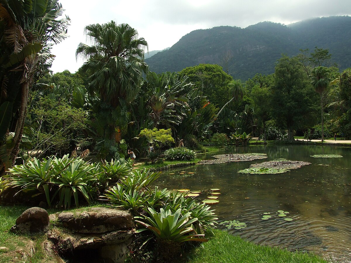 ботанический сад в рио де жанейро
