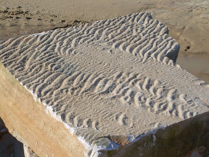 File:Ripple marks, Blackberry Hill, Wisconsin, Cambrian.JPG