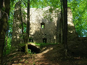 Roßstein castle ruins - view of the residential tower ruins from a south-westerly direction