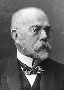 Robert Koch discovered the tuberculosis bacilli. The disease killed an estimated 25 percent of the adult population of Europe during the 19th century. RobertKoch cropped.jpg