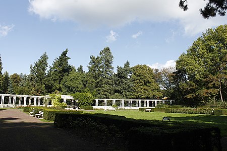 Rosengarten im Vogelsang Park in Magdeburg Neue Neustadt