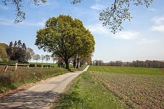 Auf der Kuppe des Rothen Berges, Blick nach Südosten