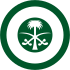 Roundel of Saudi Arabia.svg