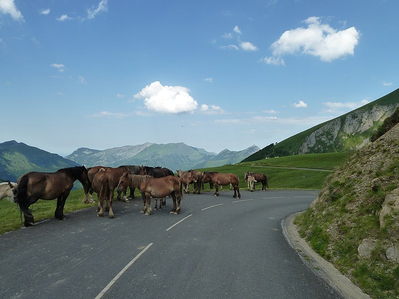 File:Route Soulor-Aubisque vue 14.JPG