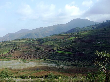 Mường Khương