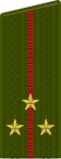 Rusia-Ejército-DE-1c-2010.svg