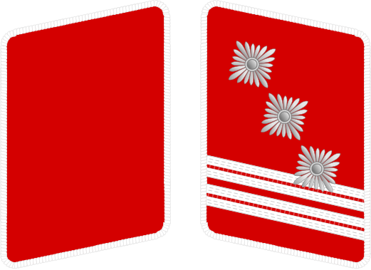 File:SA-Hauptsturmführer.svg